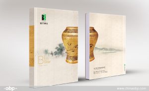 Read more about the article 蓝星钢玉笔记本画册设计