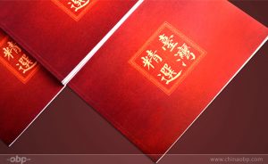 Read more about the article 台湾精选产品画册设计